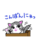 ハコネコめいちゃん  文字付きねこスタンプ（個別スタンプ：2）