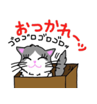 ハコネコめいちゃん  文字付きねこスタンプ（個別スタンプ：3）