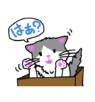 ハコネコめいちゃん  文字付きねこスタンプ（個別スタンプ：9）