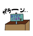 ハコネコめいちゃん  文字付きねこスタンプ（個別スタンプ：13）