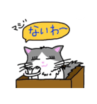 ハコネコめいちゃん  文字付きねこスタンプ（個別スタンプ：14）