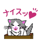 ハコネコめいちゃん  文字付きねこスタンプ（個別スタンプ：15）