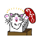 ハコネコめいちゃん  文字付きねこスタンプ（個別スタンプ：16）