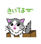 ハコネコめいちゃん  文字付きねこスタンプ（個別スタンプ：17）