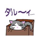 ハコネコめいちゃん  文字付きねこスタンプ（個別スタンプ：18）