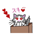 ハコネコめいちゃん  文字付きねこスタンプ（個別スタンプ：21）