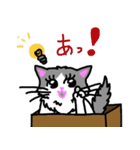 ハコネコめいちゃん  文字付きねこスタンプ（個別スタンプ：26）