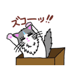 ハコネコめいちゃん  文字付きねこスタンプ（個別スタンプ：27）