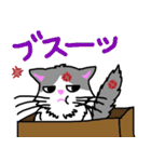 ハコネコめいちゃん  文字付きねこスタンプ（個別スタンプ：31）