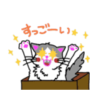 ハコネコめいちゃん  文字付きねこスタンプ（個別スタンプ：35）