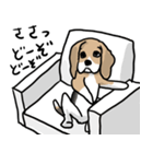 ビーグル犬ハピ（個別スタンプ：23）