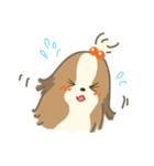 Dino the fab Shih Tzu dog（個別スタンプ：5）