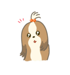 Dino the fab Shih Tzu dog（個別スタンプ：8）