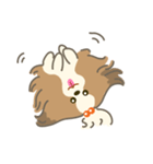 Dino the fab Shih Tzu dog（個別スタンプ：14）