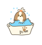 Dino the fab Shih Tzu dog（個別スタンプ：36）