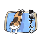 あなたの家に俺(猫)達（個別スタンプ：38）