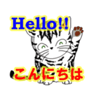 猫で会話 英単語 初級（個別スタンプ：2）