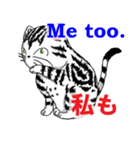 猫で会話 英単語 初級（個別スタンプ：3）