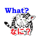 猫で会話 英単語 初級（個別スタンプ：8）