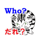 猫で会話 英単語 初級（個別スタンプ：10）