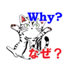 猫で会話 英単語 初級（個別スタンプ：13）