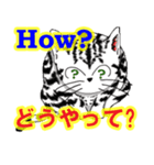 猫で会話 英単語 初級（個別スタンプ：18）