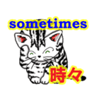 猫で会話 英単語 初級（個別スタンプ：21）