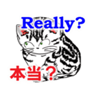 猫で会話 英単語 初級（個別スタンプ：25）