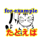 猫で会話 英単語 初級（個別スタンプ：28）