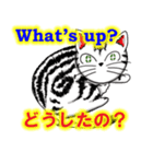 猫で会話 英単語 初級（個別スタンプ：35）