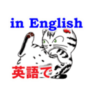 猫で会話 英単語 初級（個別スタンプ：38）