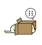 わが家の猫（個別スタンプ：34）