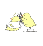 yellow bird（個別スタンプ：22）