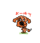 Poodle’ず（個別スタンプ：28）