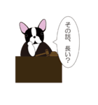 Animal  Legal（個別スタンプ：29）