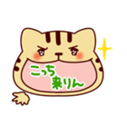 ねこもじだがね～愛知弁～（個別スタンプ：26）