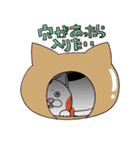 三毛ねこタマやん（個別スタンプ：11）