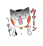 三毛ねこタマやん（個別スタンプ：12）