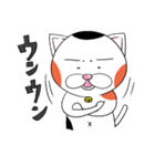 三毛ねこタマやん（個別スタンプ：13）