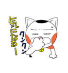 三毛ねこタマやん（個別スタンプ：24）