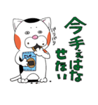 三毛ねこタマやん（個別スタンプ：33）