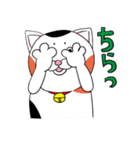 三毛ねこタマやん（個別スタンプ：37）