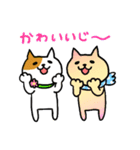 金沢ねこたちのなかよしDays（個別スタンプ：21）