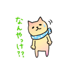 金沢ねこたちのなかよしDays（個別スタンプ：31）