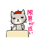 締め切り前のネコ（個別スタンプ：31）