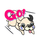 Pugbull（個別スタンプ：7）