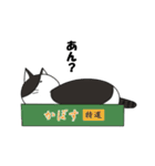 たみ猫（個別スタンプ：1）