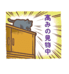 ねこ日和！（個別スタンプ：40）