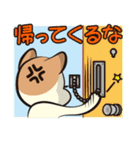 ぬこ夫妻（個別スタンプ：7）