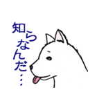 紀州犬 ぎんのすけ ～紀州弁Ver.～（個別スタンプ：5）